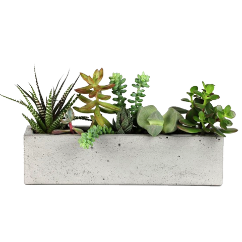 Concrete Planter