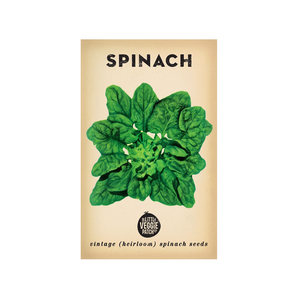 Little Veggie Patch Co Seed Packs